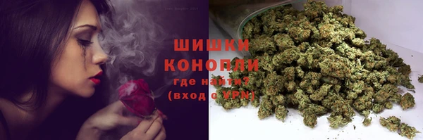 гидра Пестово