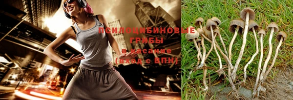 сатива Алзамай