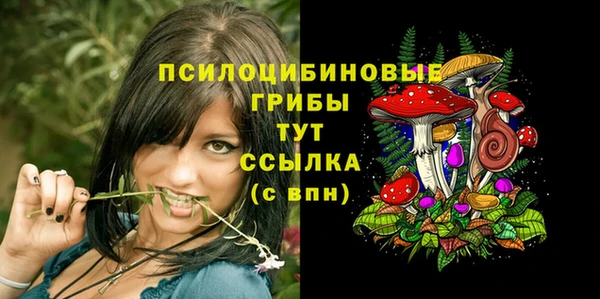 соль ск Абинск