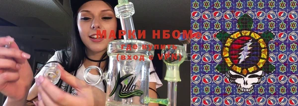 прущие грибы Пересвет