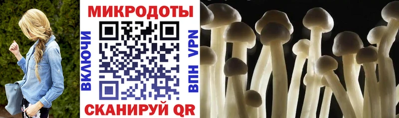 Галлюциногенные грибы GOLDEN TEACHER  Советская Гавань 